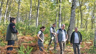 Orman Bölge Müdürü Kayıran Gönen'i Denetledi