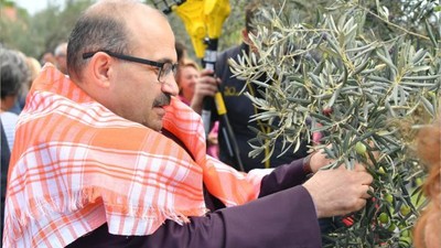 Vali Ustaoğlu Zeytin Dalından Bereketi Topladı