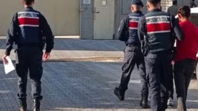 Zeytin Hırsızları Suç Üstü Yakalandı