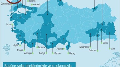 Balıkesir'de Hayalet Ağ Krizi: Bakan Harekete Geçti