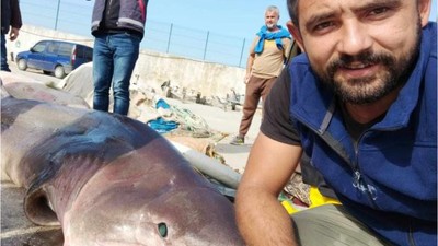 Marmara Denizinin Ağlarına Köpek Balığı Takıldı