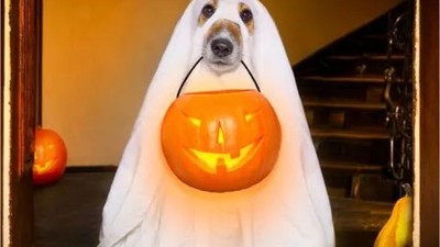 Halloween Nedir ve Nasıl Kutlanır?