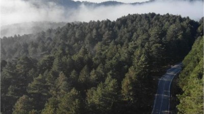Kazdağı’nın Astrolojik Şifası