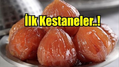 İlk Kestaneler 15 Eylül’de Dökülmeye Başladı