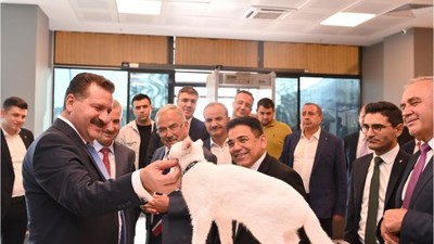 Balıkesir Her Ay 5000 Sokak Hayvanına Ulaşıyor!