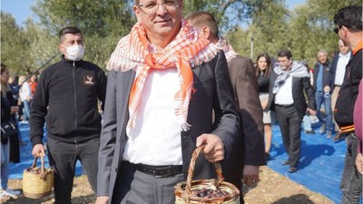 Ayvalık Zeytinyağı Dünya Kalitesinde!
