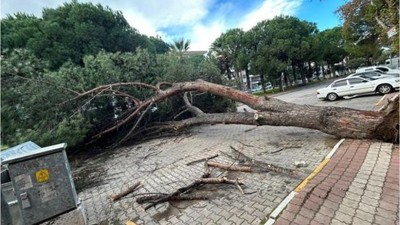 Ayvalık'ta Kuvvetli Fırtına Ulaşımı Felç Etti