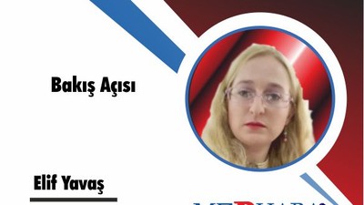 Bakış Açısı