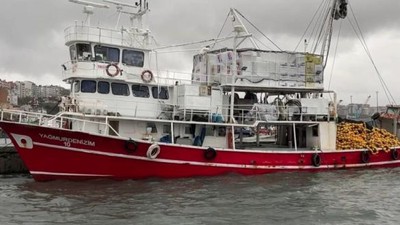 Hamsi Bolluğunda Hava Şartları Etki Gösterdi