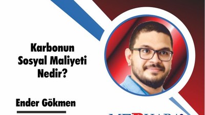 Karbonun Sosyal Maliyeti Nedir?