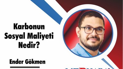 Karbonun Sosyal Maliyeti Nedir?