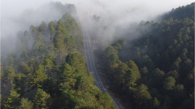 Kazdağları'nda Bulut Denizi