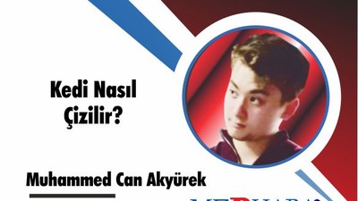 Kedi Nasıl Çizilir?