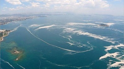 Marmara Denizi'nde Balıkların Avlanma Takvimi Değişti