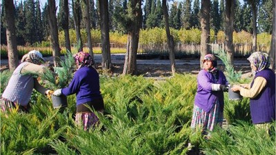 Orman Bölge Müdürlüğünden Köy Kalkınmasına Milyonluk Destek