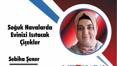 Soğuk Havalarda Evinizi Isıtacak Çiçekler