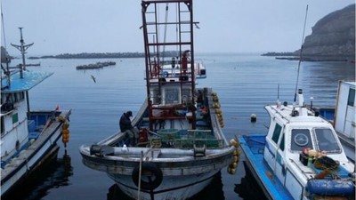 Barbun ve Lüfer Sezonu Açıldı!