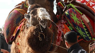 Develere Havutlarını Giydirip Türkü Söylediler