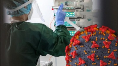 Virüste İlk Vaka: İlk Kez Bir İnsanda Görüldü!