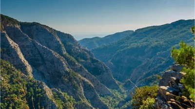 Balıkesir'in Flora Rehberi