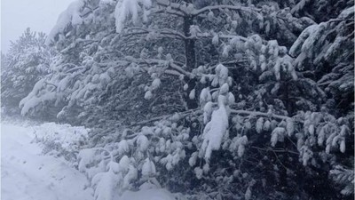 Yalova'da mevsimin İlk Kar Düştü