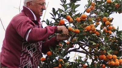 Balıkesir'in Kasım Ayı Hasadı