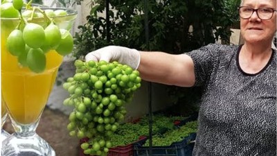 Balıkesir'in Sırlı Hazinesi: Koruk Suyu