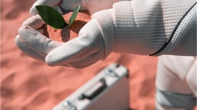 Mars'ta Tarım Deneyleri Sonuç Verdi