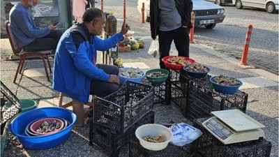 Kırmızı Melki Sezonu Başladı: Kilosu 200 Lira