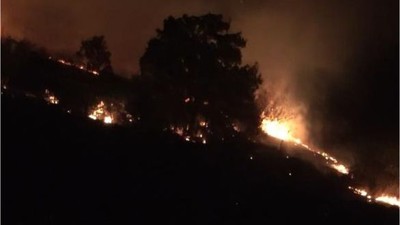 Balıkesir'deki Yangın Söndürüldü