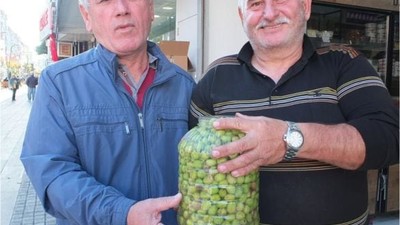 Balıkesir'de Kırma Zeytin Hazırlığı Başladı