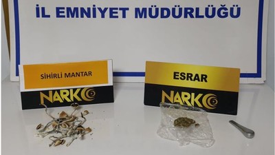 Ayvalık’ta Sihirli Mantar Operasyonu