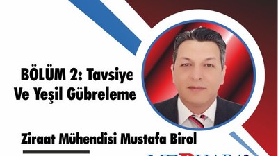 Zeytinde Toprak Organik Maddesinin Yönetimi BÖLÜM 2: Tavsiye Ve Yeşil Gübreleme