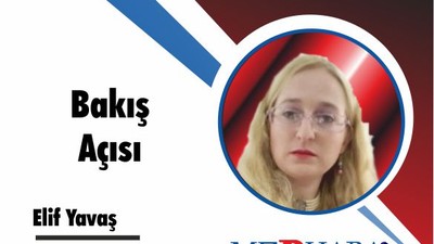 Bakış Açısı