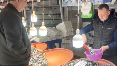 Bandırma'da Karadeniz Hamsilerine Talep Arttı