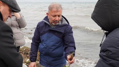 Denizlerin Geleceği Deniz Çayırları