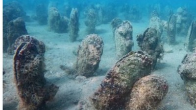 “Pinaları Dünyada Bilinir Düzeye Getirmeliyiz”