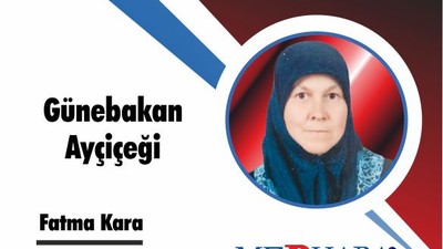 Günebakan Ayçiçeği