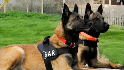 Huzurlu Sokaklar İçin 2 Narkotik Köpeği Görevde