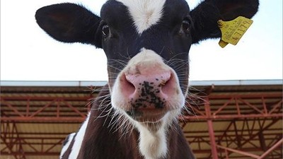 Kepsut'ta 2023 Destekleme Başvuruları Başladı