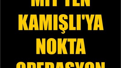 MİT'ten Kamışlı'ya Nokta Operasyon