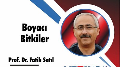 Boyacı Bitkiler
