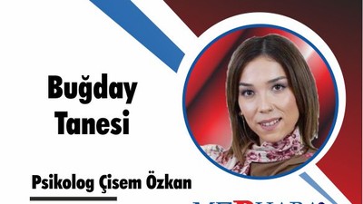 Buğday Tanesi