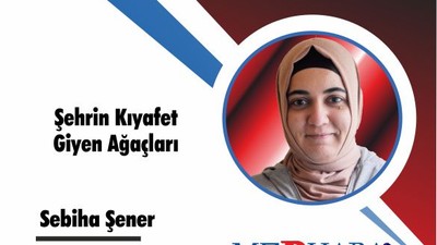 Şehrin Kıyafet Giyen Ağaçları