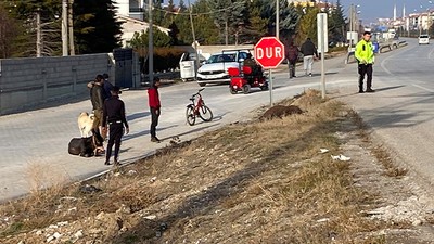 Tır Başıboş Eşşeklere Çarptı