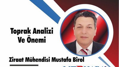 Toprak Analizi Ve Önemi