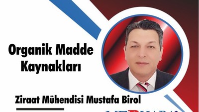 Organik Madde Kaynakları