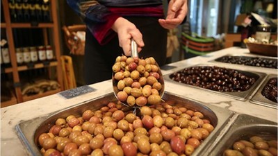 Edremit Zeytin ve Zeytinyağı AB Tescili İle Güçleniyor