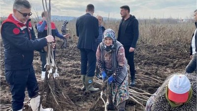 Balıkesir'de Tarımsal Kalkınma: 8 Milyon Meyve Fidanı Üretiliyor