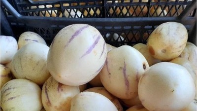 Egzotik Lezzet Balıkesir'de İlgi Görüyor